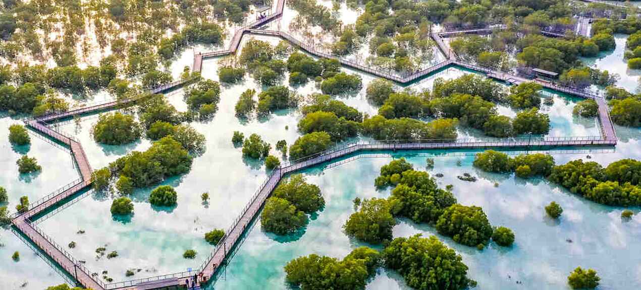 Dubai Mangroves Project 2024